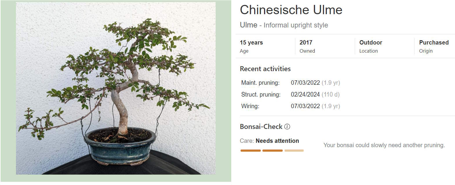 Bonsai Diary Detailansicht - Baum Tagebuch